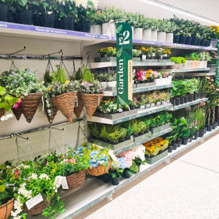 831-bmstores-epsom-store-opening-01-03-2024-42