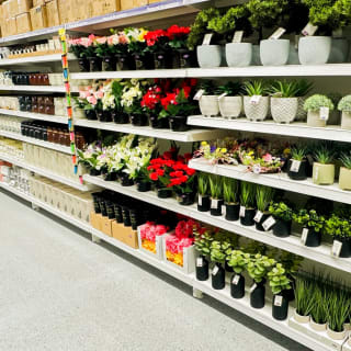 834-bmstores-kenilworth-store-opening-07-03-24-33