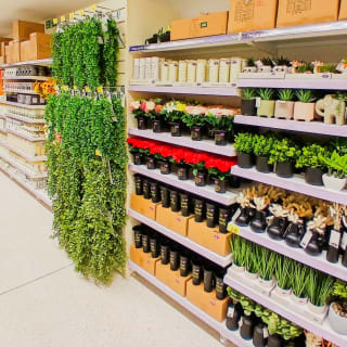 843-bmstores-maesteg-store-opening-2024-06-08-23