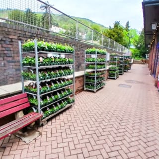 854-bmstores-great-malvern-store-opening-2024-05-05-310