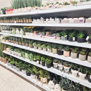 855-bmstores-wood-green-store-opening-2024-05-04-41