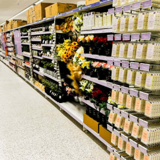 860-bmstores-bordon-store-opening-39