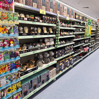 889-bmstores-rossington-store-opening-2025-05-02-25