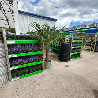 904-bmstores-tweedbank-store-opening-2