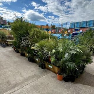 904-bmstores-tweedbank-store-opening-3