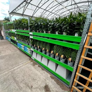 904-bmstores-tweedbank-store-opening-5