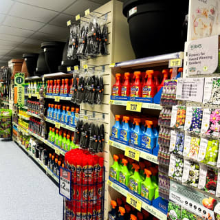 905-bmstores-arleston-store-opening-29