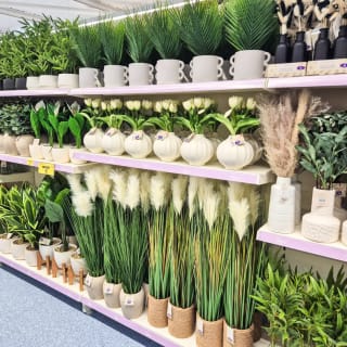 906-bmstores-picton-court-store-opening-41