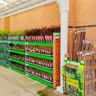 906-bmstores-picton-court-store-opening-7