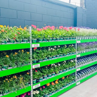 906-bmstores-picton-court-store-opening-8