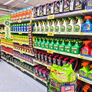 906-bmstores-picton-court-store-opening-80