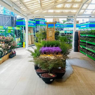 906-bmstores-picton-court-store-opening-9