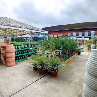 907-bmstores-horsted-store-opening-10