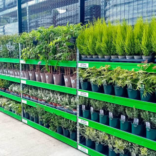 908-bmstores-linden-park-store-opening-11