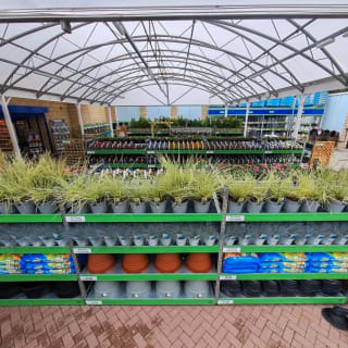 913-bmstores-palace-grounds-store-opening-11