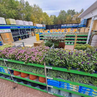 913-bmstores-palace-grounds-store-opening-2