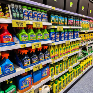 913-bmstores-palace-grounds-store-opening-39