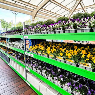 916-bmstore-craigavon-store-opening-9