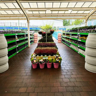 916-bmstore-craigavon-store-opening