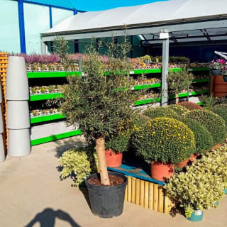 921-bmstores-stamford-store-opening-14