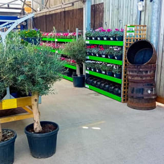 921-bmstores-stamford-store-opening-15