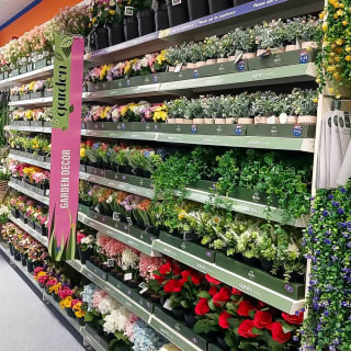 927-bmstores-diss-store-opening