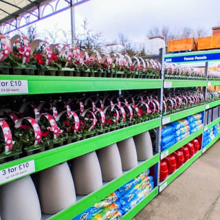 931-bmstores-peterhead-store-opening-garden-centre-5