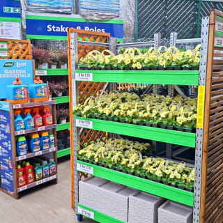 933-bmstores-aylesbury-vale-store-opening-4