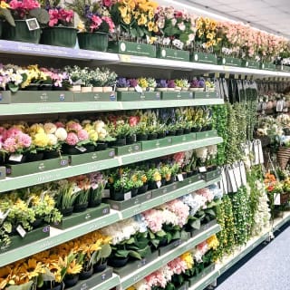 936-bmstores-plymstock-new-store-opening-15