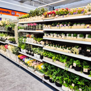 937-bmstores-carmarthen-store-opening-41