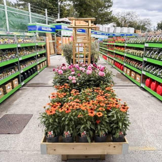 937-bmstores-carmarthen-store-opening-5